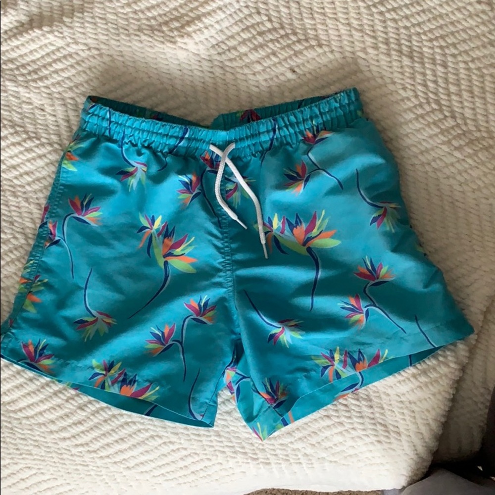 Chubbies swim trunks